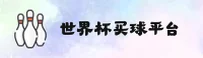 【官网】世界杯买球网站App - 2026正版门户